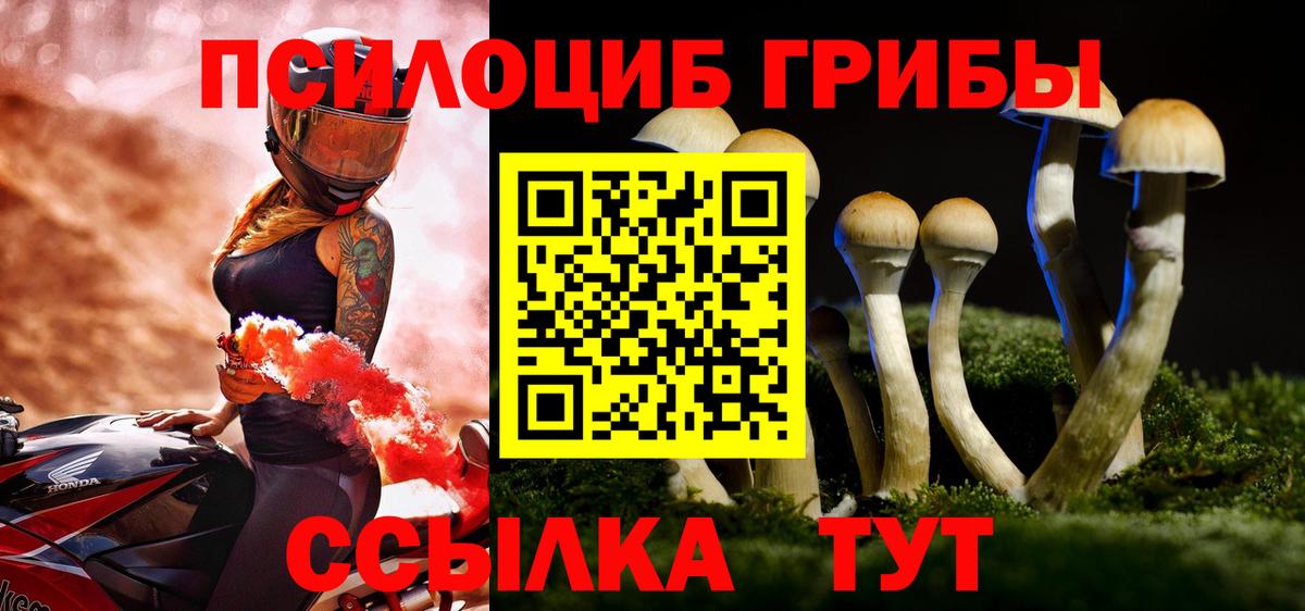 Галлюциногенные грибы прущие грибы Гудермес