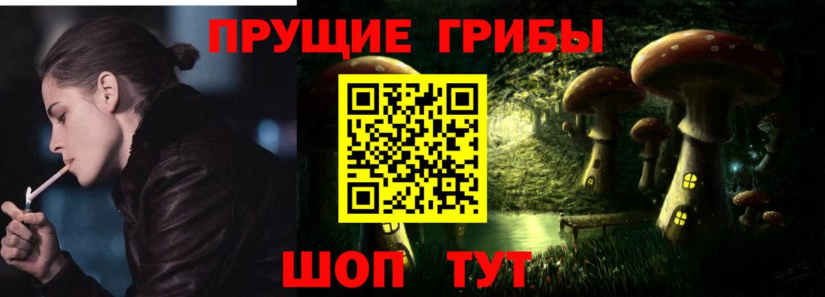 где найти   Вход с VPN  Гудермес  Галлюциногенные грибы GOLDEN TEACHER  Галлюциногенные грибы Cubensis 